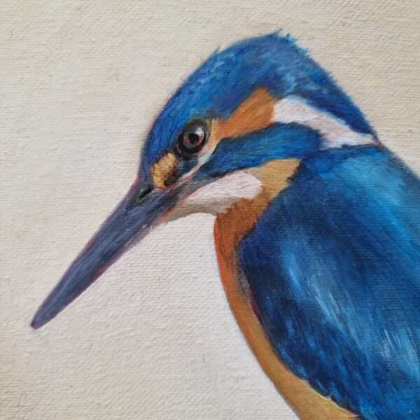 Kingfisher painting details