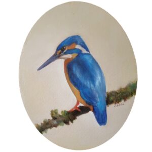 Kingfisher