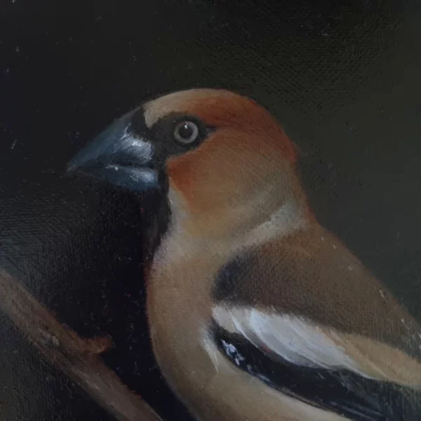 Charming hawfinch, oil painting - Image 2