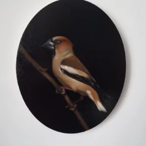 Detailed oil painting of a charming hawfinch by Marta Gotlība.