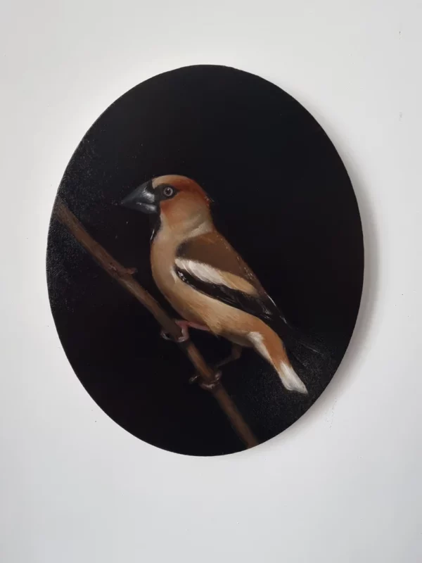 Detailed oil painting of a charming hawfinch by Marta Gotlība.