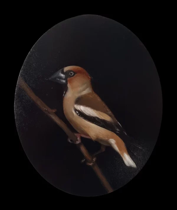 Charming hawfinch, oil painting - Image 3