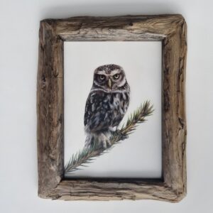 framed enchanting little owl illustration by Marta Gotliba