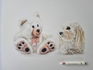 Illustration of a teddy bear and a white Matese dog, next to a white pencil