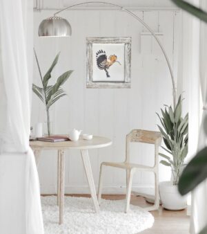 Hoopoe in interior