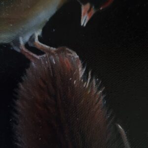 Detaiils of the goldfinch painting