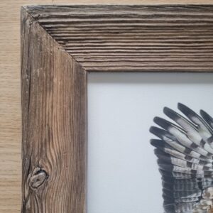 Close-up of the frame
