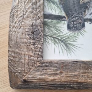 Close-up of the frame