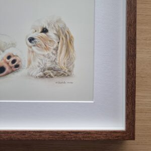 Maltese dog with a plush bear drawing