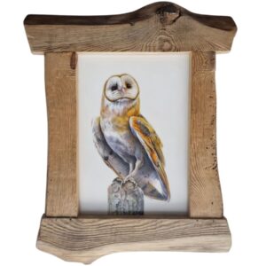 Detailed illustration of a barn owl by Marta Gotlība.