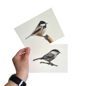 Illustration of a willow tit by Marta Gotlība.