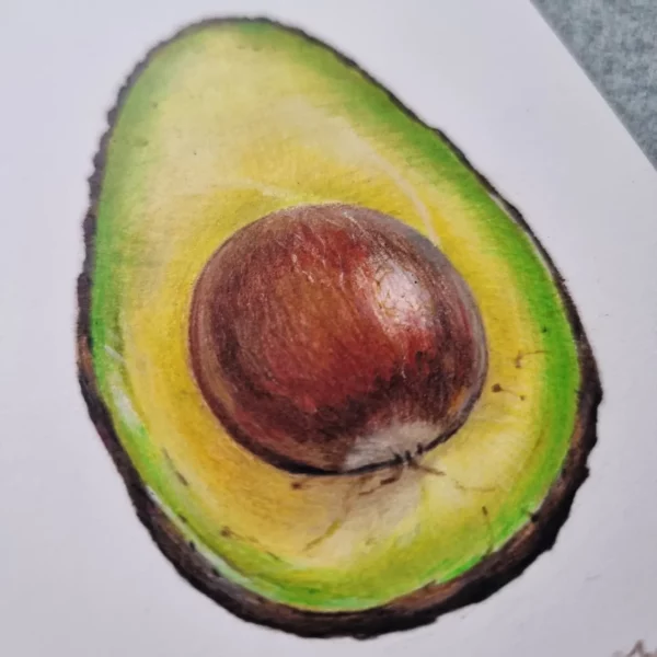 Detailed avocado drawing close-up