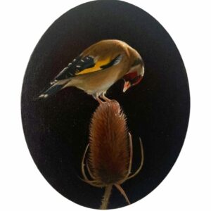 Oval goldfinch on a teasel in spotlight painting