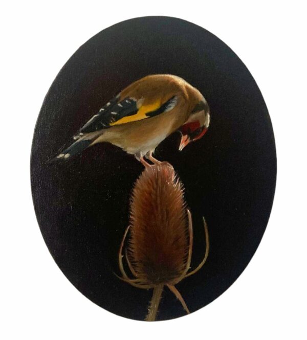 Oval goldfinch on a teasel in spotlight painting