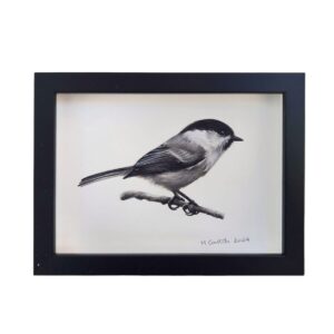 Illustration of a willow tit by Marta Gotlība.