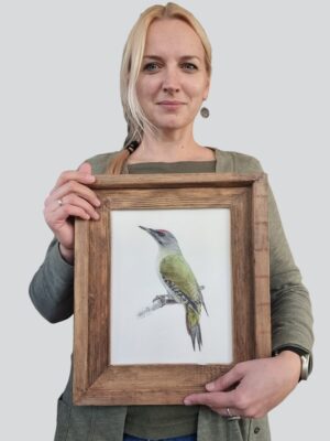 Grey-headed woodpecker