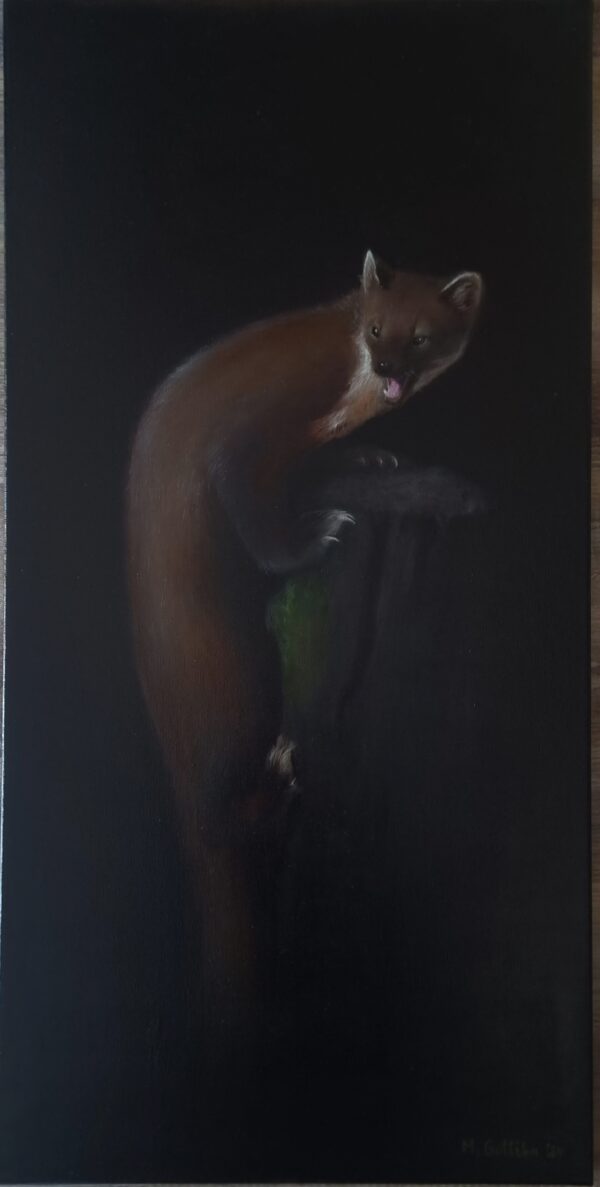 Pine marten on a wood stump painting