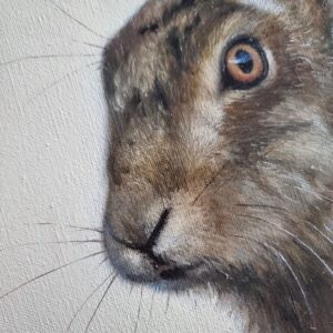 Detail of a European hare portrait oil painting