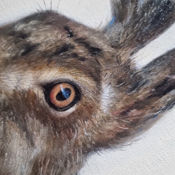 Detail of a European hare portrait oil painting