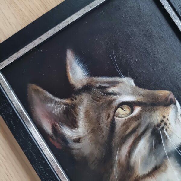 Detail of a hopeful cat portrait oil painting