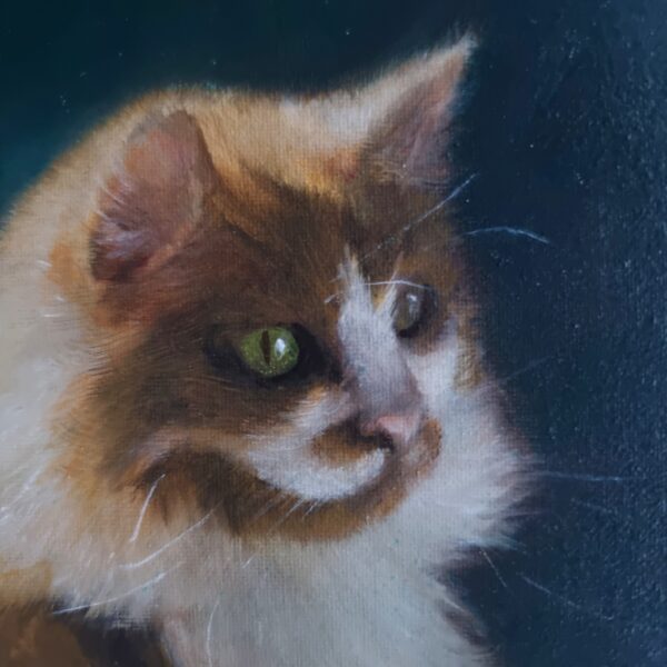 Detail of a ginger cat full portrait oil painting