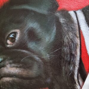French bulldog on a red background oil painting