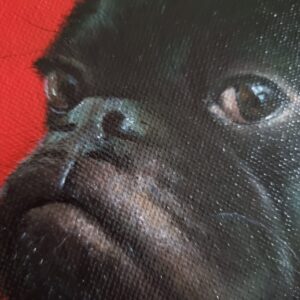 French bulldog on a red background oil painting