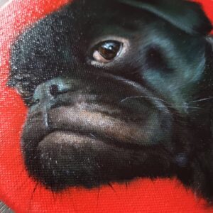 French bulldog on a red background oil painting