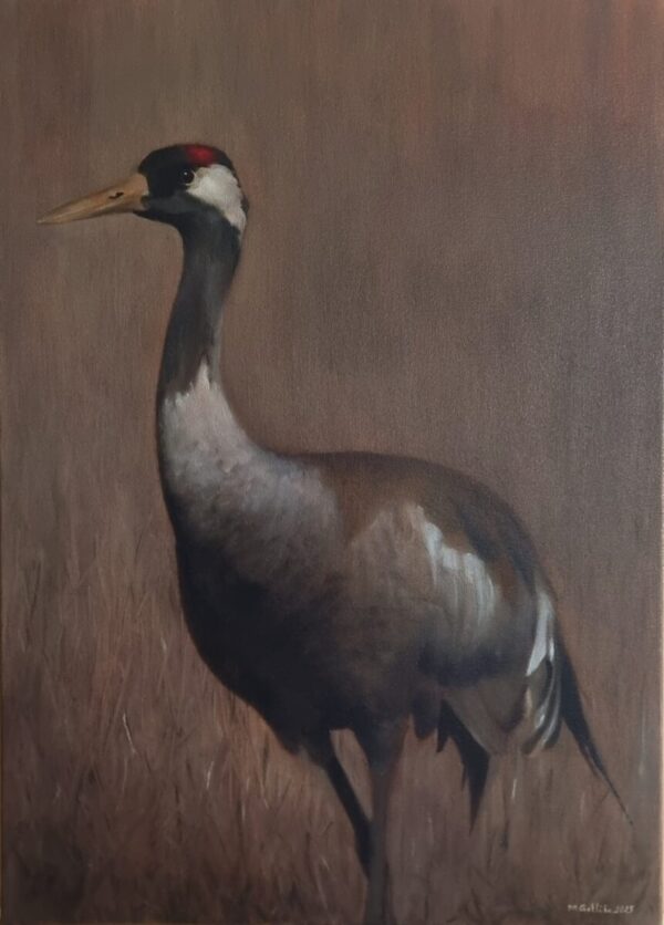 Common crane portrait oil painting - Image 2