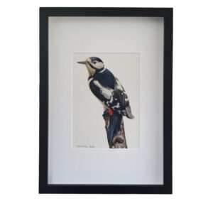 great spotted woodpecker