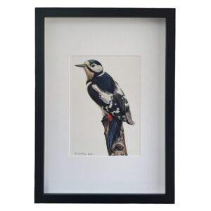 great spotted woodpecker