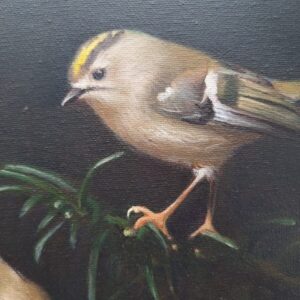 Two goldcrests in a spruce painting