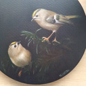 Two goldcrests in a spruce painting