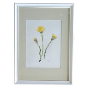 Coltsfoot painting