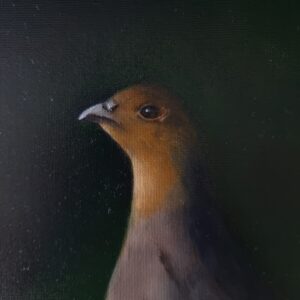 Oil painting of a grey partridge by Marta Gotlība