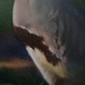 Oil painting of a grey partridge by Marta Gotlība