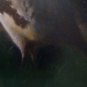 Oil painting of a grey partridge by Marta Gotlība