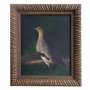 Oil painting of a grey partridge