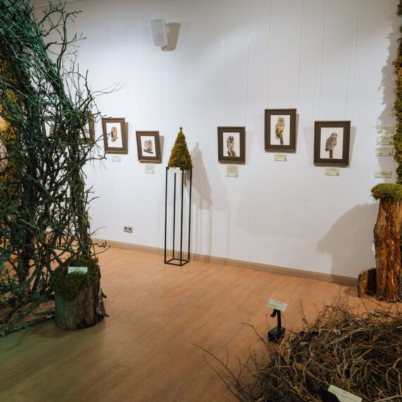 Exhibition "In the forest"