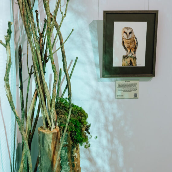 Exhibition "In the forest"