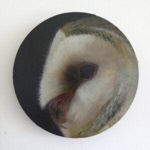 Round Barn owl close-up painting