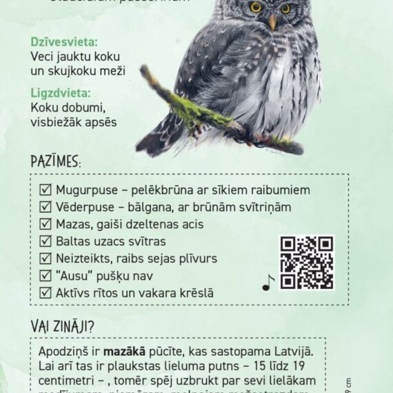 Owl guide