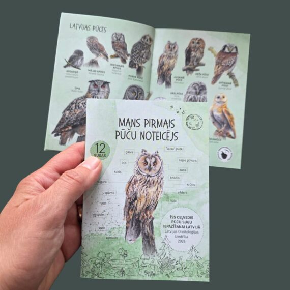 Owl guide