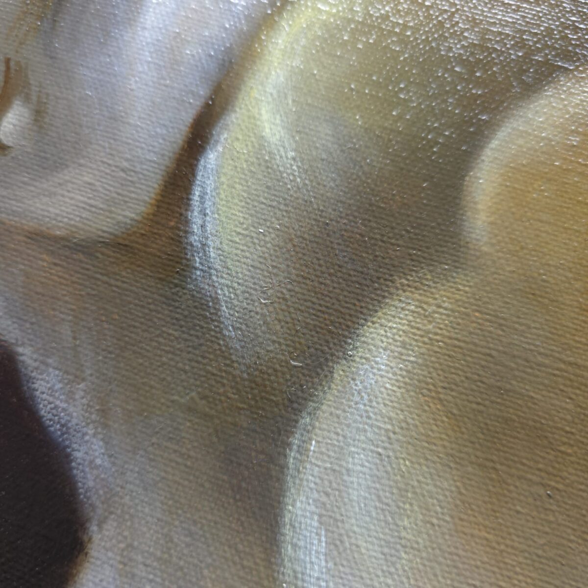Barn owl painting detail