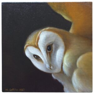 Barn owl
