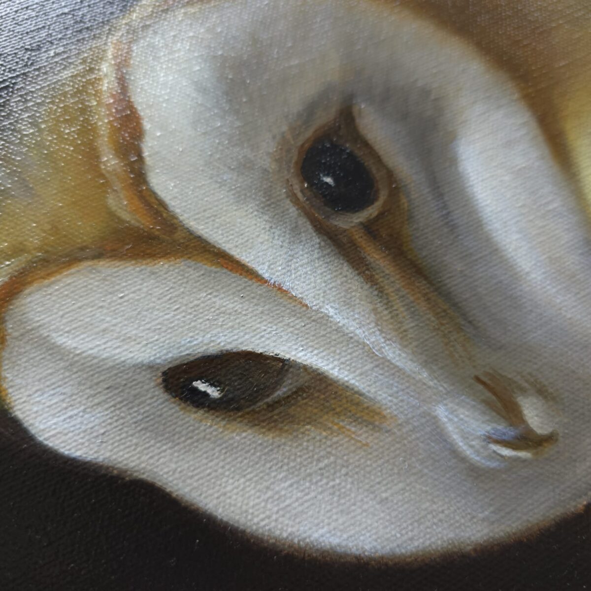 Barn owl painting detail