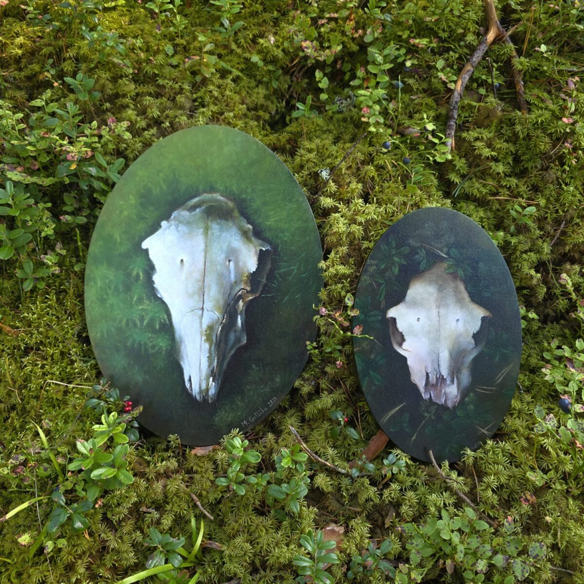 Roe deer skull painting
