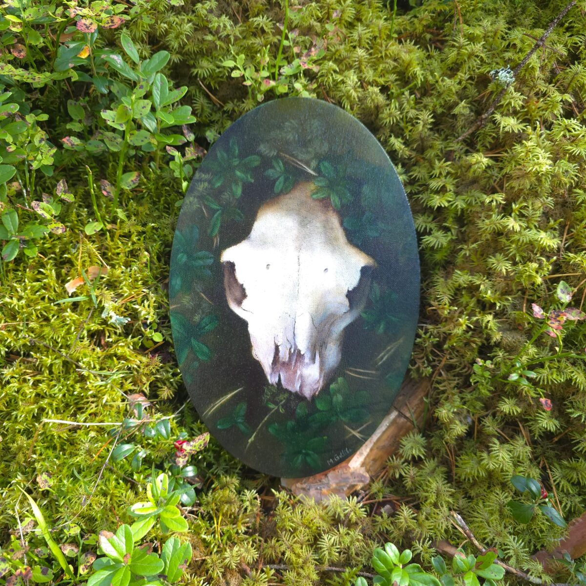 Roe deer skull painting