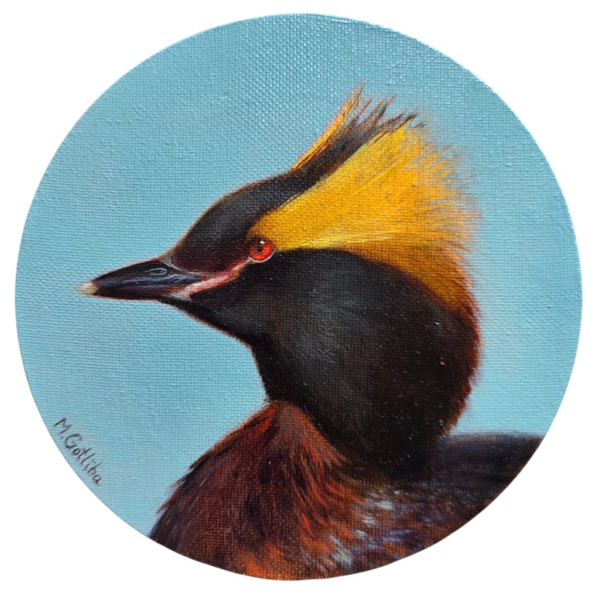 Horned grebe painting