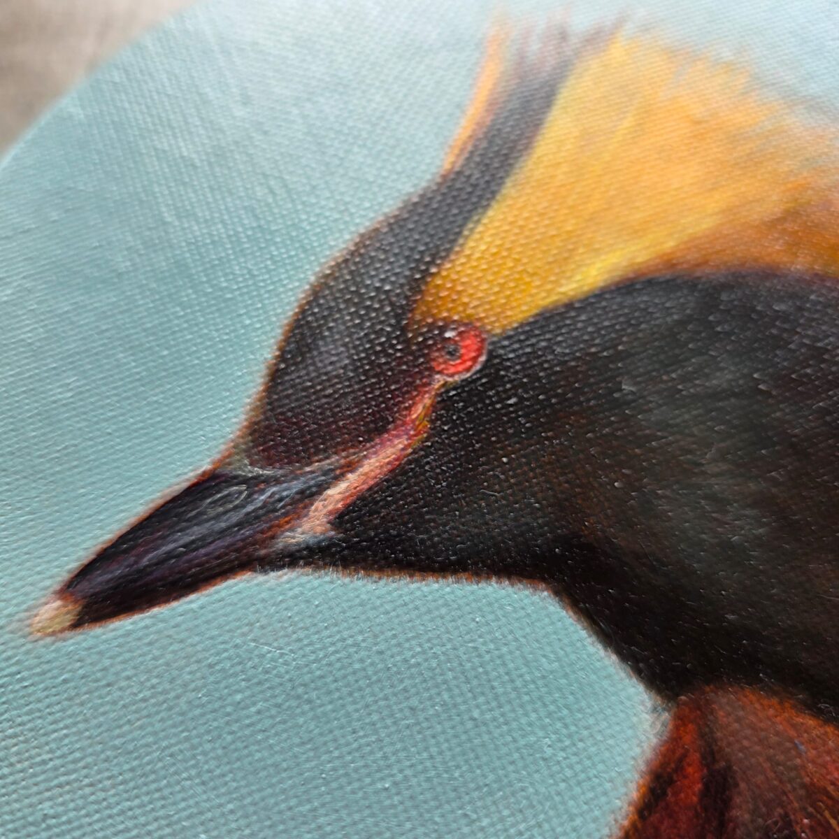 Horned grebe painting